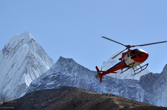 The world's best holiday designer